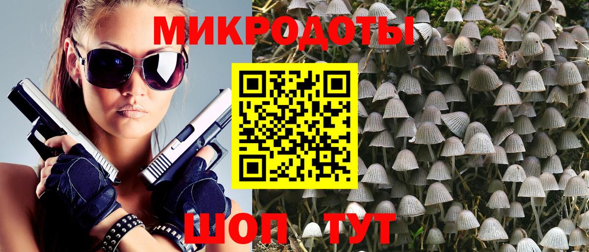 Псилоцибиновые грибы Psilocybe Волгодонск